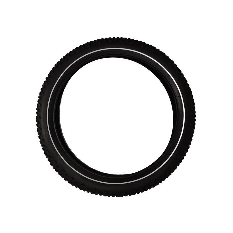 Dirwin Bike Fat Tire - HuntingEbikesDirect.com