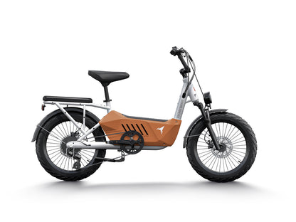 Himiway C3 | Cargo Ebike