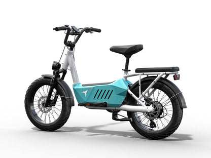 Himiway C3 | Cargo Ebike