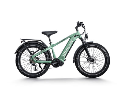 Himiway D5 Pro | Premium All-terrain Electric Fat Bike