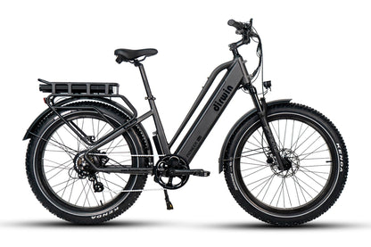 Pioneer Plus Fat Tire Electric Bike