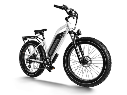 Himiway D3 ST (Cruiser ST) | All Terrain Step Thru Electric Bike