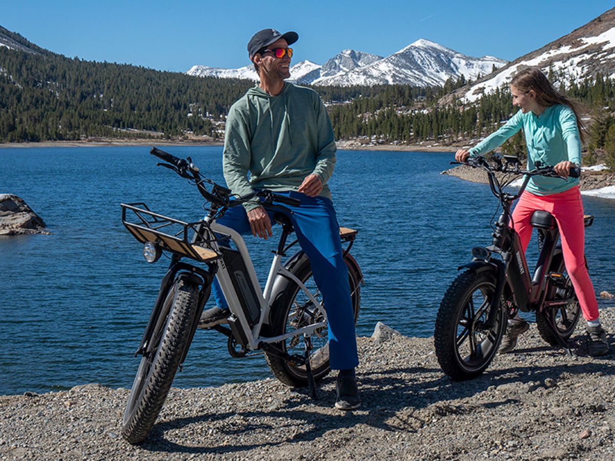 Himiway D3 ST (Cruiser ST) | All Terrain Step Thru Electric Bike