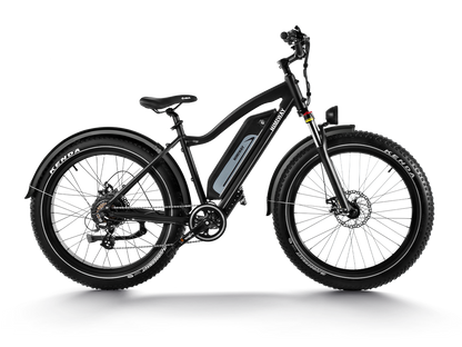 Himiway D3 (Cruiser) | Long Range Fat Tire Electric Bike