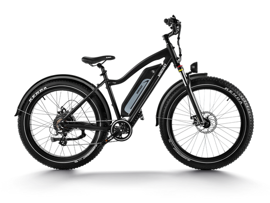 Himiway D3 (Cruiser) | Long Range Fat Tire Electric Bike