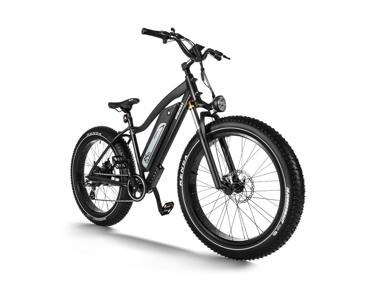 Himiway D3 (Cruiser) | Long Range Fat Tire Electric Bike