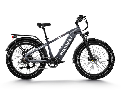 Himiway D5 (Zebra) | Premium All-terrain Electric Fat Bike